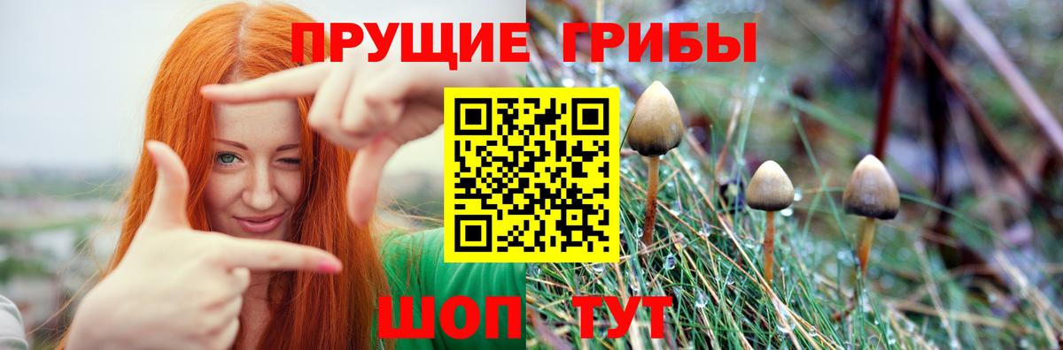 Галлюциногенные грибы мухоморы  хочу наркоту  Нижний Новгород  Вход с VPN 